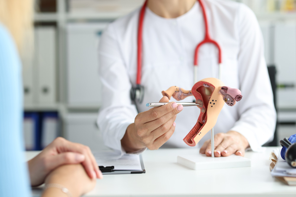 Fibroids Treatment and Surgery