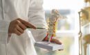 degenerative disc disease