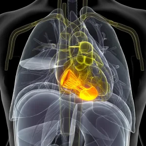 Argon Plasma Coagulation in Thane