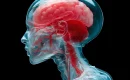 Reasons for Blood Clot in Brain