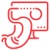 Endoscopy & Colonoscopy Endoscopy & Colonoscopy