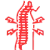 Scoliosis & Spine Care Scoliosis & Spine Care