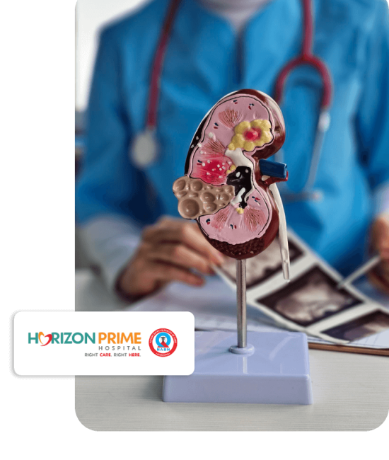 kidtrans1 (1) kidtrans1 (1)